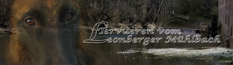 Leonberger_Muehlbach